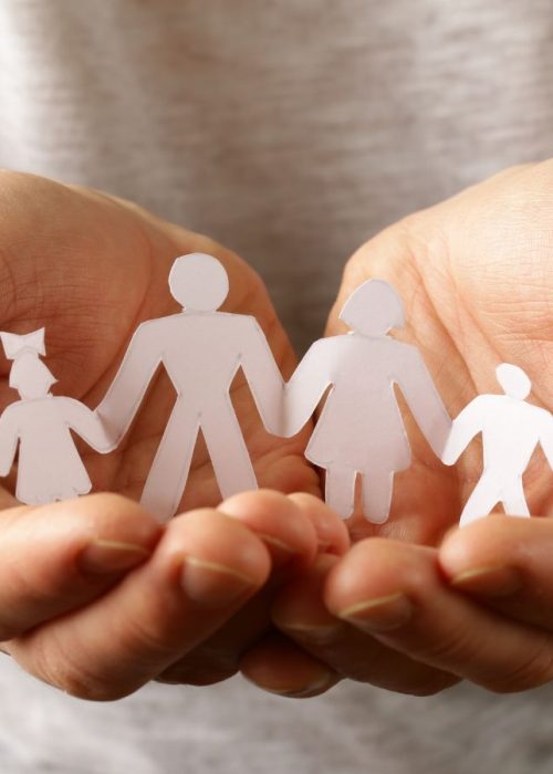 lavoro terzo settore non profit